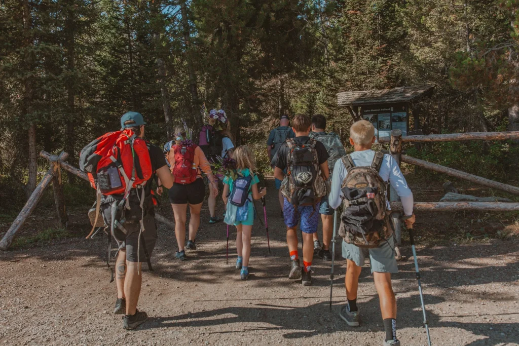 Group of hikers with backpacks walking toward a forest trailhead on a sunny day.